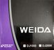 Катушка Weida DJ 1000 (4+1 BB)
