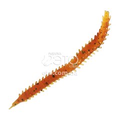 Силиконовый морской червь Нереис 75мм - FL602